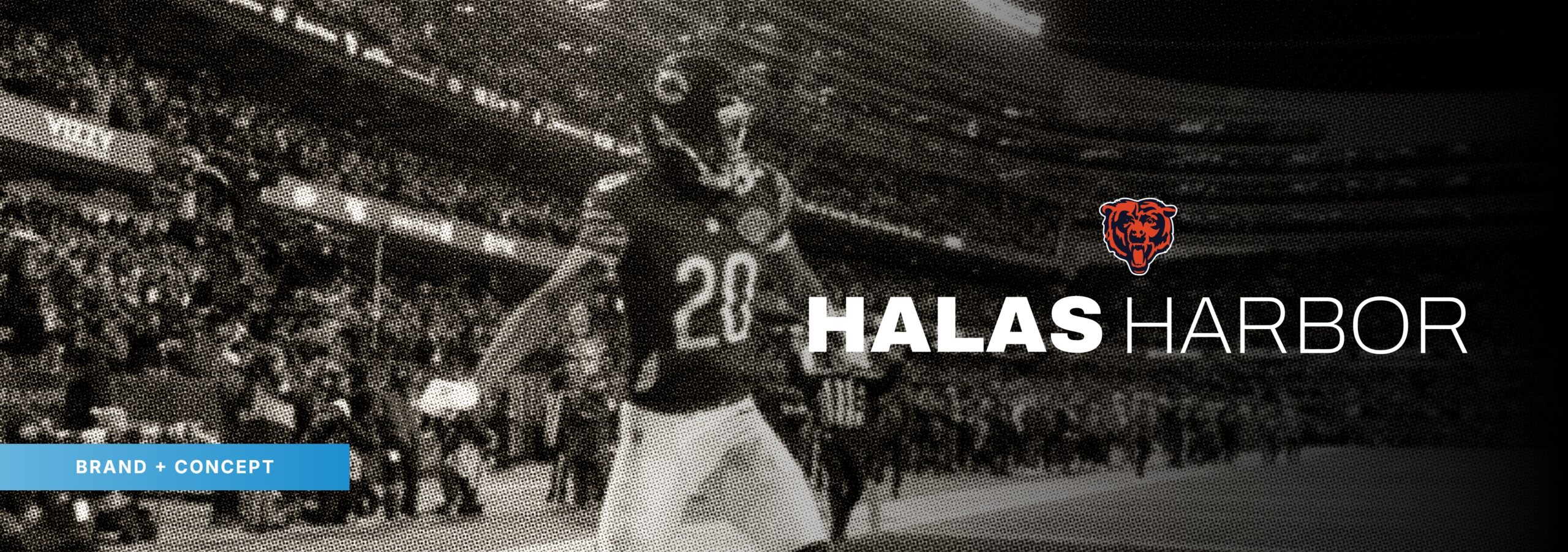 Halas Harbor brand concept reveal